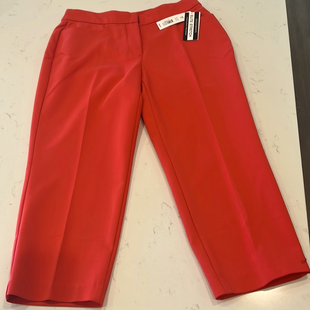 Investments petites. Elite stretch. Size 6P